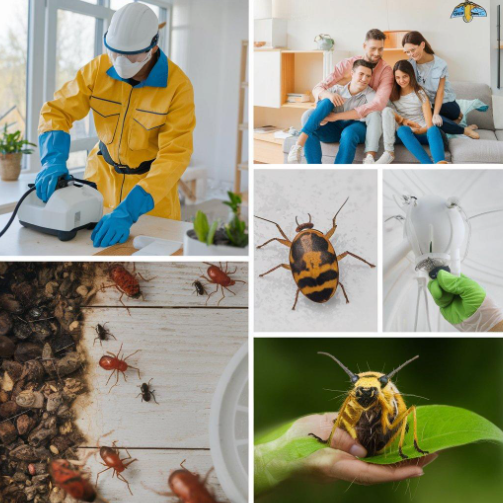 Pest Control Services